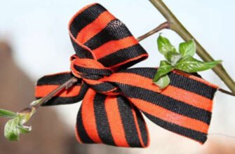 Peste 60 de persoane au fost AMENDATE pentru că au purtat panglica ”Sfântul Gheorghe”