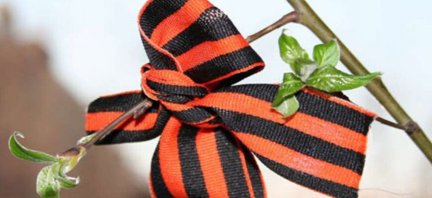 25362 large 95862800