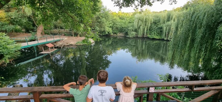 de 1 iunie intrarea la gradina zoologica va fi gratuita pentru copii