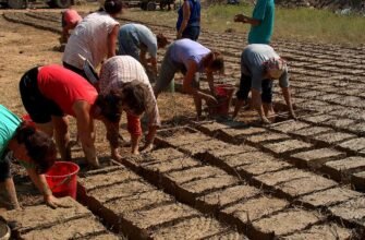 VIDEO// "Vremurile bune" au ajuns la Pepeni. Oamenii au ajuns să facă chirpici ca acum jumătate de secol