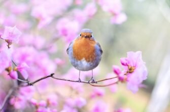 shallow focus photography of bird