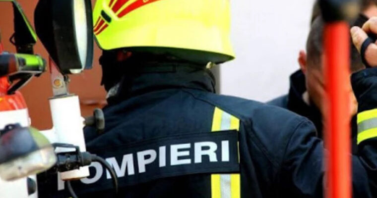 salvatorii din raionul ungheni au salvat doua vulpi din apa