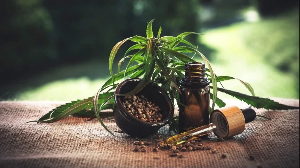 Canabisul, remediu naturist? 5 situaţii în care e util uleiul de canabis