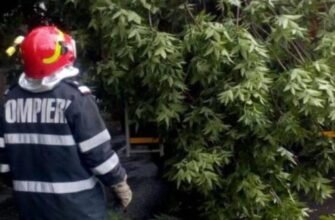 Un copac a căzut peste două fetiţe care se jucau în spatele blocului. În ce stare se află copilele