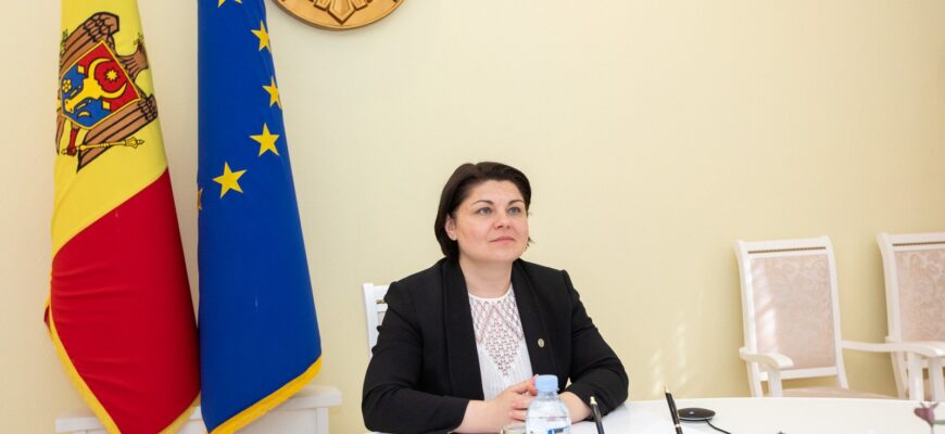 288630201 448556580606946 7796580640010190514 n