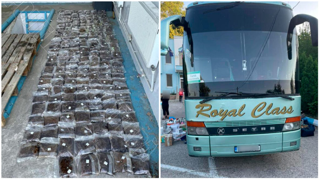 collage maker 30 jun 2022 11.13 am