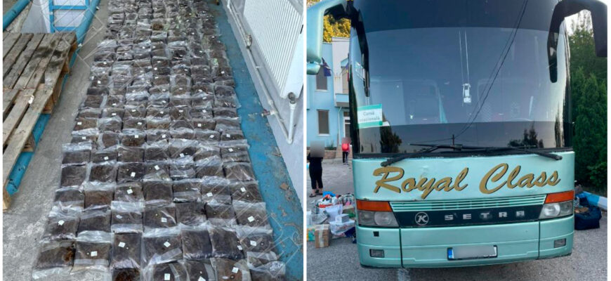 collage maker 30 jun 2022 11.13 am