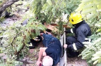 Pompierii au salvat un bărbat blocat sub un arbore căzut în capitală