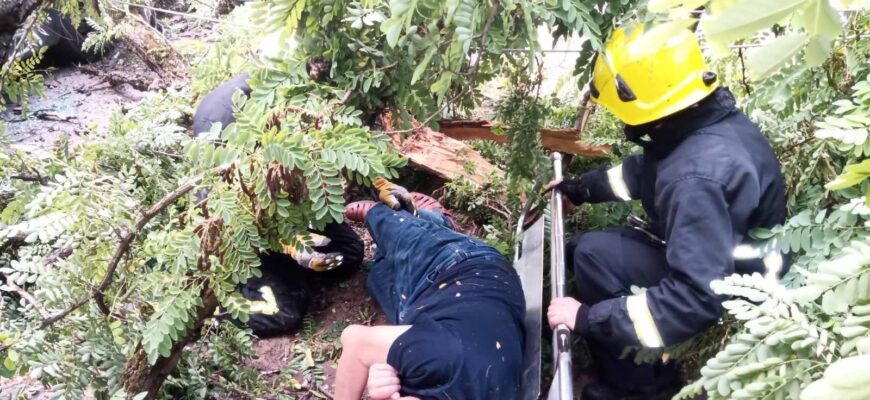 pompierii au salvat un barbat blocat sub un arbore cazut in capitala