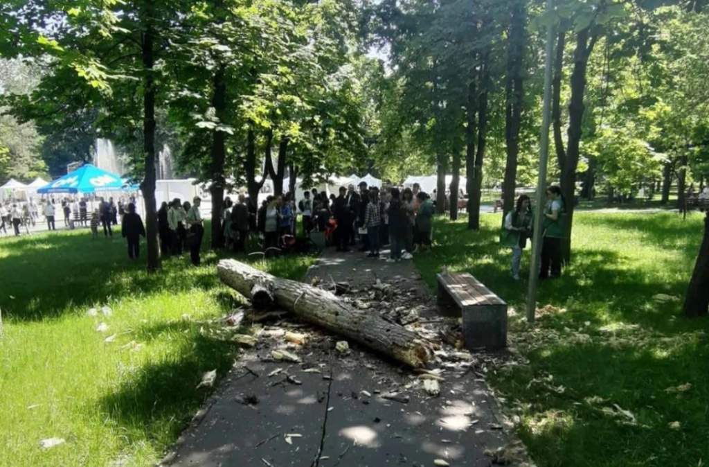 procurorii au identificat banuitul pe cazul decesului fetitei de un an produs in parcul alunelul