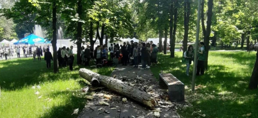 procurorii au identificat banuitul pe cazul decesului fetitei de un an produs in parcul alunelul