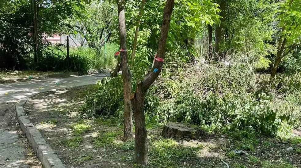 Pe strada Albișoara au demarat lucrările de amenajare a spațiului verde
