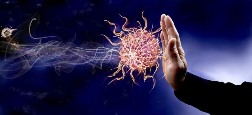 sistem imunitar 990x504 1