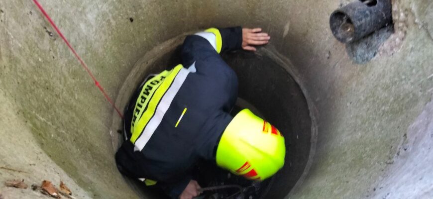 un catel a fost salvat dintr o fantana de salvatorii din comrat