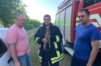 Un pui de căprioară a fost salvat de pompieri în urma unui incendiu