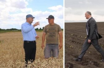 FOTO// Pe urmele lui Igor Dodon? Ministrul Agriculturii din Guvernul PAS a decis să-și facă poze în câmp