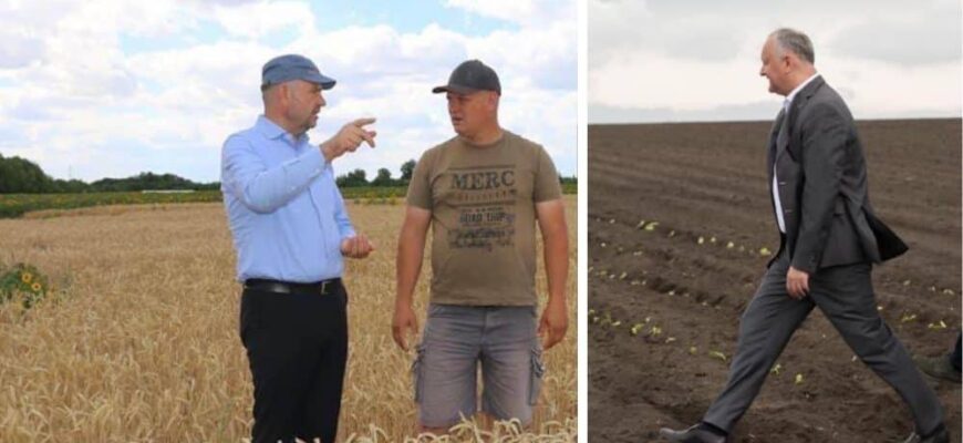 bolea dodon camp 1000x600 1