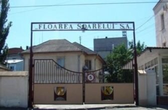Directorul general al ”Floarea Soarelui” cere să fie audiat la Guvern: Activitatea uzinei este puternic afectată de dispoziţia CSE