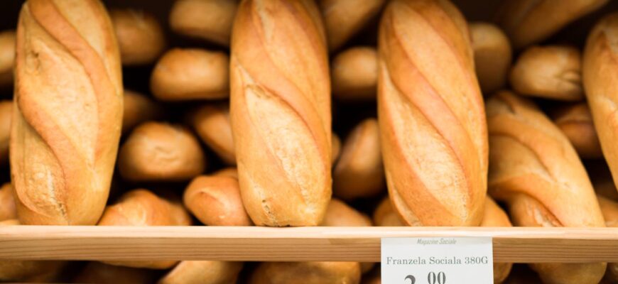 ogwp8y 2022 07 25 18 40 paine magazin social