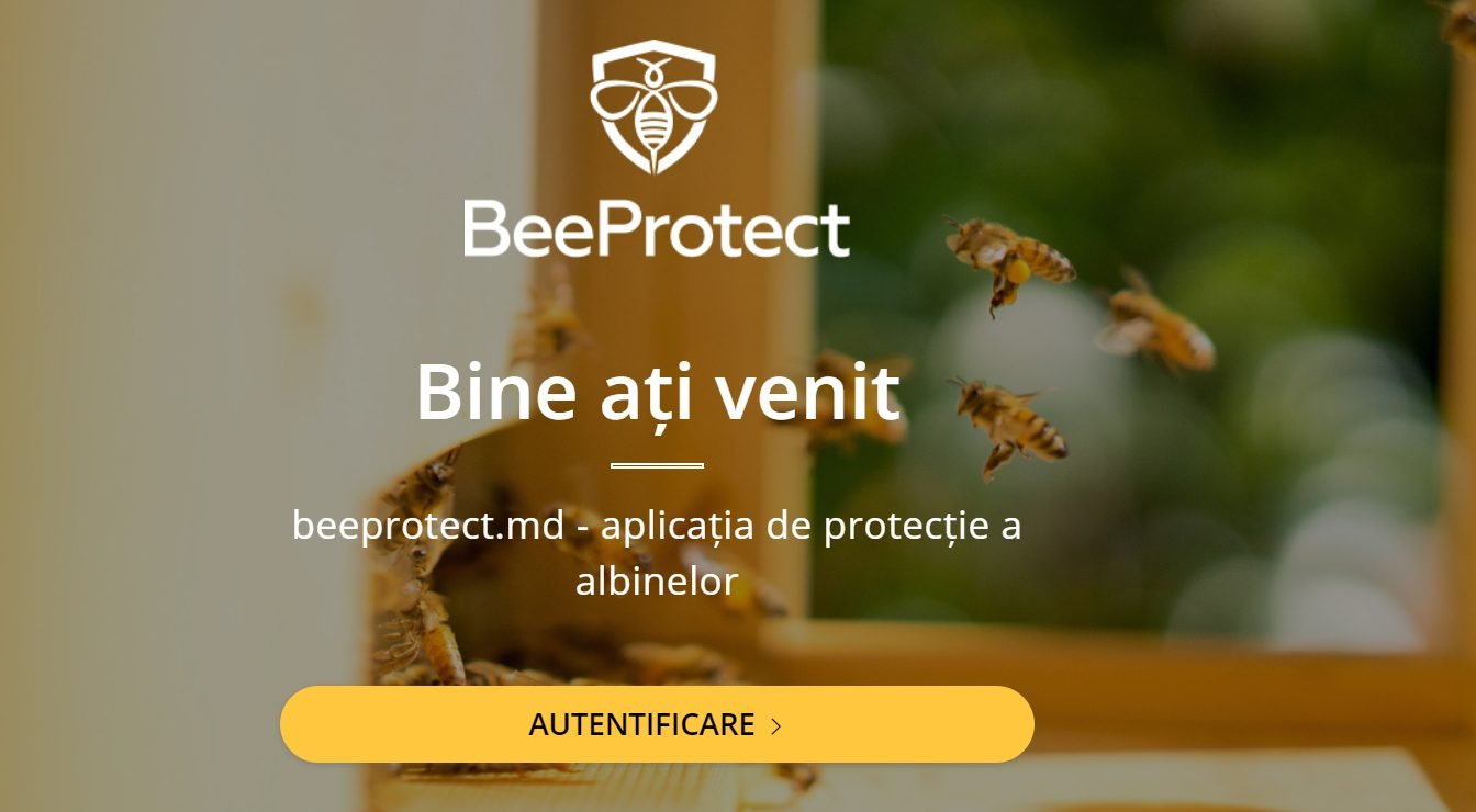 ANSA și Asociația Națională a Apicultorilor din Moldova au dat start pilotării unei aplicații pentru protecția albinelor