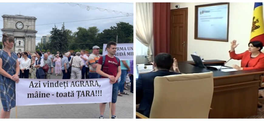 reforma universitara gavrilita