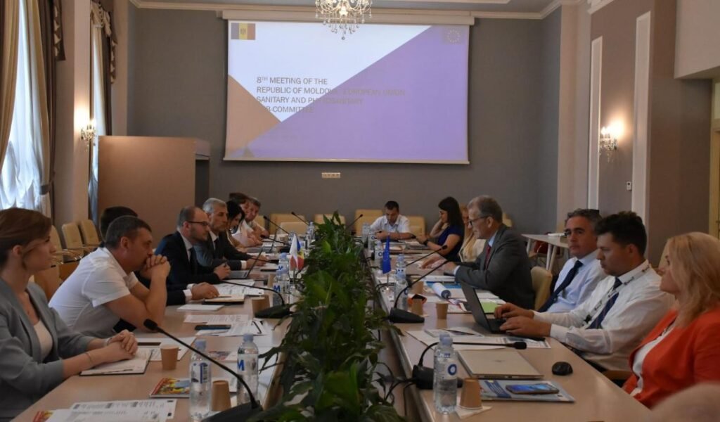 Sub-Comitetul SPS Moldova-Uniunea Europeană s-a întrunit la Chișinău în cadrul celei de-a VIII-a reuniuni