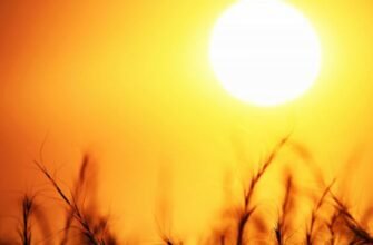 Atenție, vreme caniculară! Sinopticienii prognozează pentru astăzi maxime de până la 36 de grade