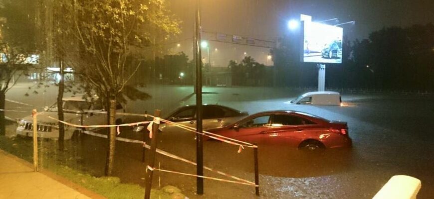 13331055 746749418800685 9075145982562491749 n