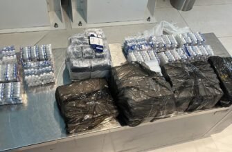 Complici în comiterea infracțiunii. O femeie și fiul acesteia au încercat să introducă în țară produse cosmetologice de peste 14.000 euro