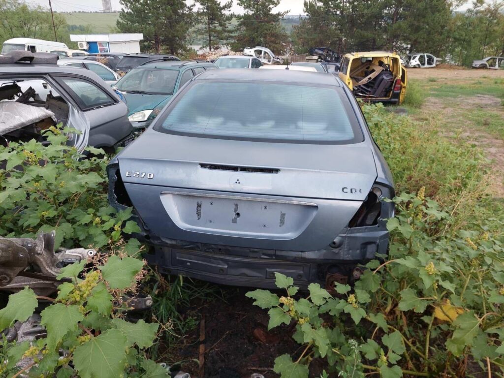 299162829 368397525487014 4863048974951592986 n