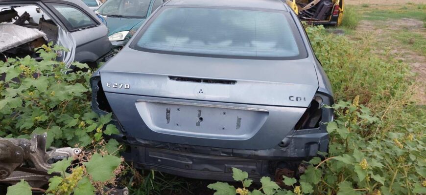 299162829 368397525487014 4863048974951592986 n