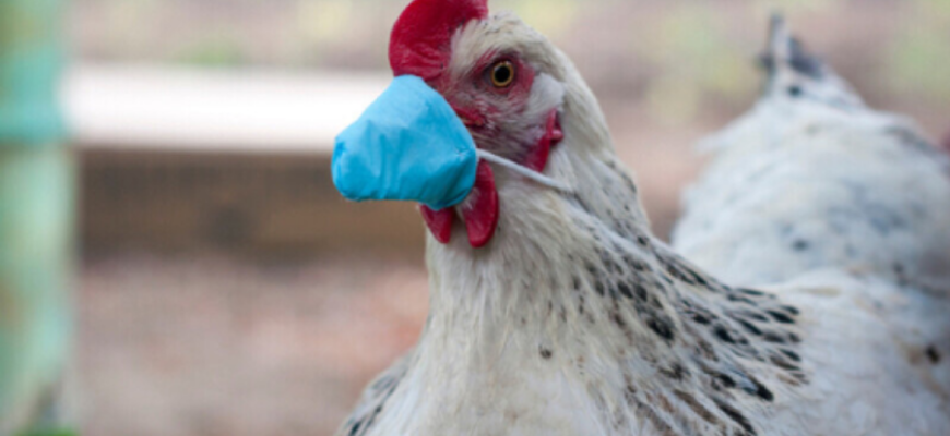 design fara titlu 2022 01 25t102404.282 900x505 1