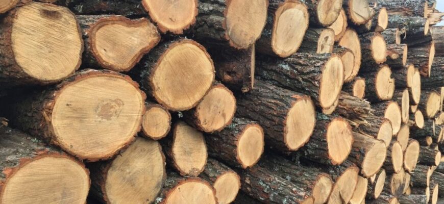 ex deputat trage un semnal de alarma