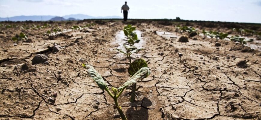 prognoze sumbre ale specialistilor din romania