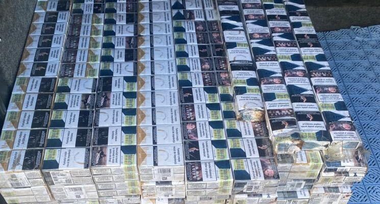 306718569 422606309857222 6715833681333489797 n w4zmdmh