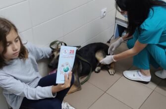 Astăzi este marcată Ziua Mondială de Luptă împotriva Rabiei. Lista clinicilor care vor vaccina GRATUIT câinii