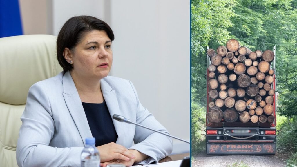 Guvernul a extins limita de comercializare a lemnului de la 3 la 5 metri steri