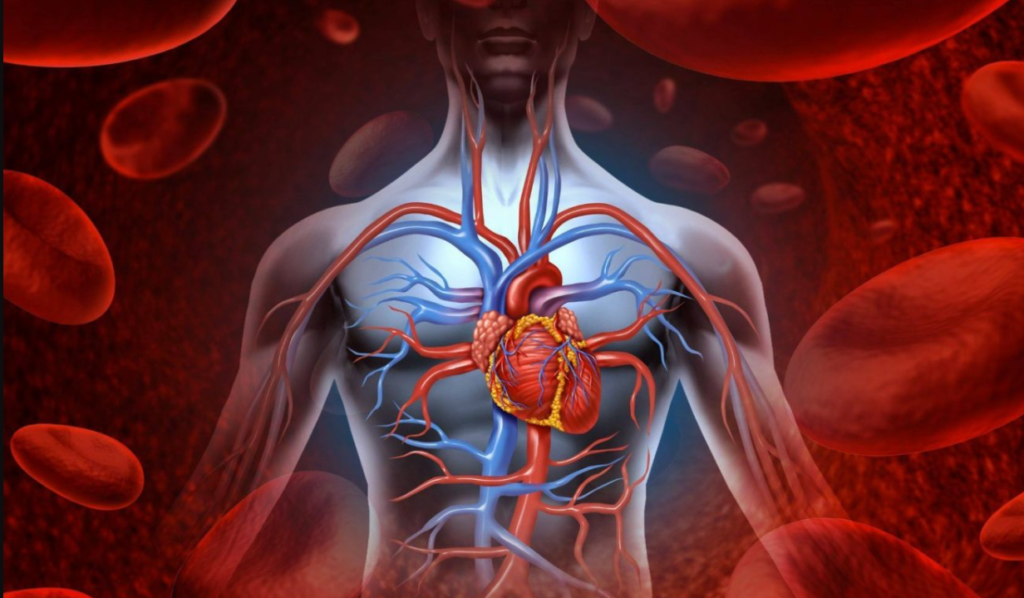 Vitaminele care îți asigură o bună circulație a sângelui: Îmbunătățesc aportul de oxigen și reduc colesterolul 1 screenshot 2 9