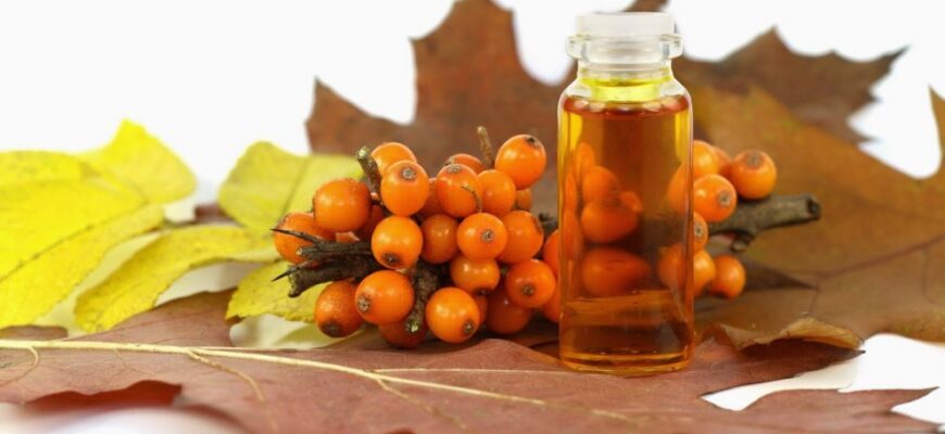 ulei de catina 5 990x660 1