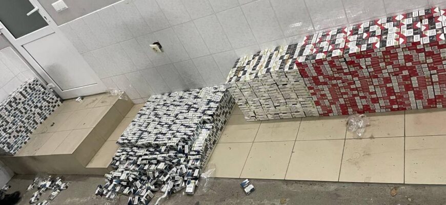 311921615 2261163237384017 6777958055123549462 n