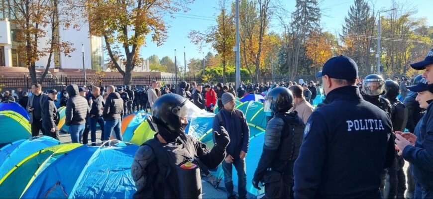 FOTO// Partidul ȘOR: Noul simbol al PAS este, de astăzi, bâta și cagula