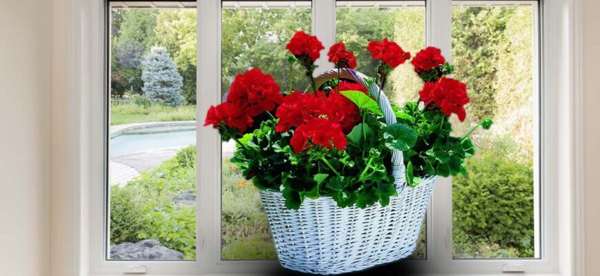 secretul celor mai frumoase muscate pentru geamul casei. detaliile care fac diferenta