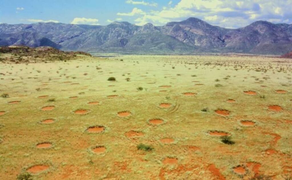 Misterul „cercurilor de zâne” din deșertul Namib, fenomen unic în lume,a fost dezlegat. Ce spun cercetătorii