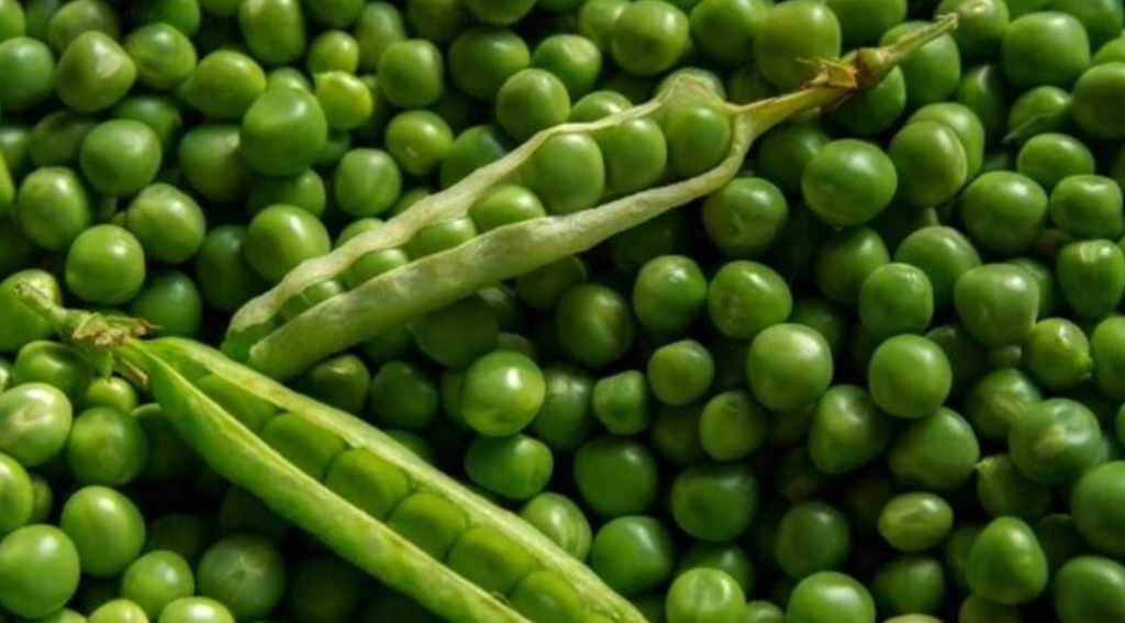 Cinci beneficii uimitoare ale consumului de mazăre verde despre care ar trebui să știți 1 screenshot 2 13