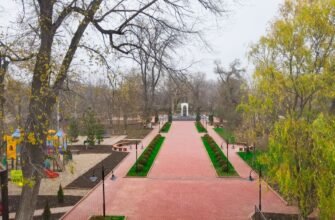 FOTO// Echipa Partidului „ȘOR” a reconstruit parcul central din Taraclia