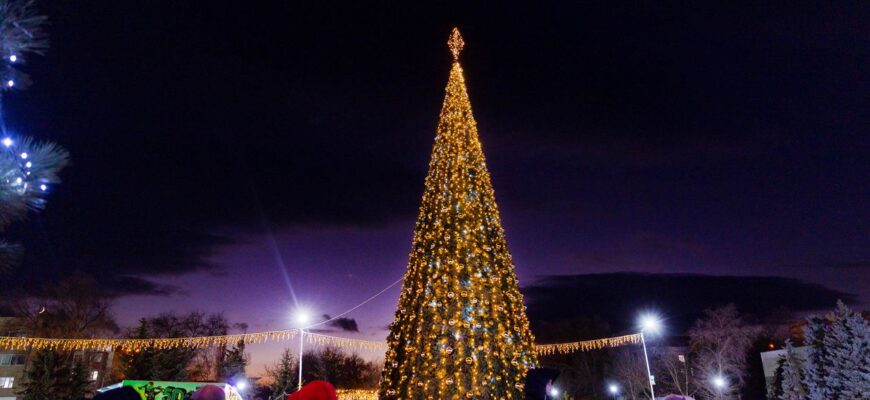 image 2022 12 26 103005