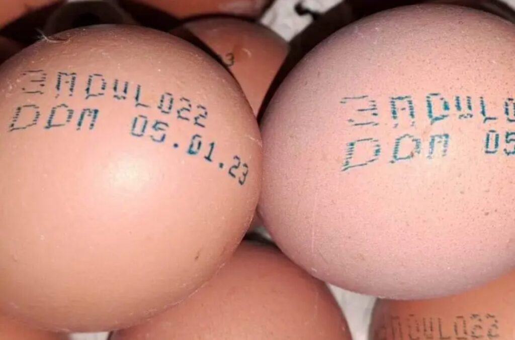 Un lot de ouă de găină, restras din comerț. Consumatorii pot returna produsul 1 Un lot de ouă de găină, restras din comerț. Consumatorii pot returna produsul