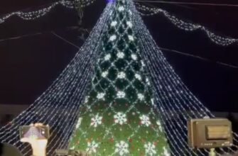 Magia sărbătorilor de iarnă în Chișinău. A fost inaugurat târgul și pomul de Crăciun