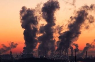 Autoritățile au găsit vinovații pentru poluarea aerului: Gospodinele au gătit prea mulți cozonaci și sarmale pentru Crăciun