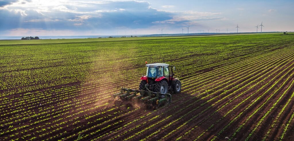 SFS a prezentat spre consultări publice proiectul Regulamentului privind rambursarea TVA pentru producătorii agricoli
